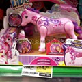avistamentos cnt bazar 12 janeiro_56.jpg